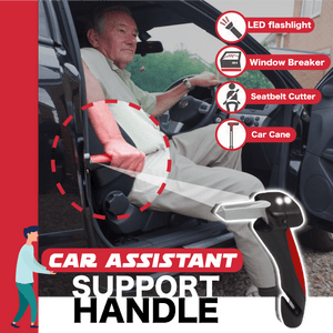 Auto-Assistent Unterstützung Handhaben